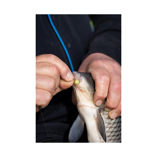 Wafter Sonubaits - Spike'um Wafter Meaty Mussel 8mm